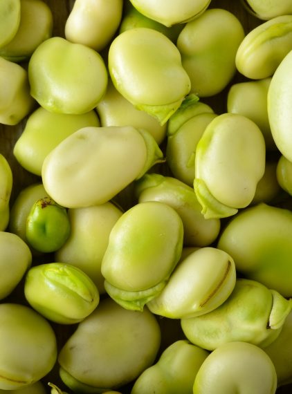 Bób – dlaczego warto go jeść?