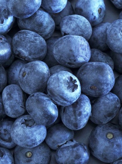 Jagody. Lokalny superfood