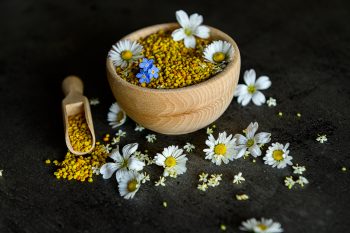 Czy warto włączać do diety pyłek pszczeli?