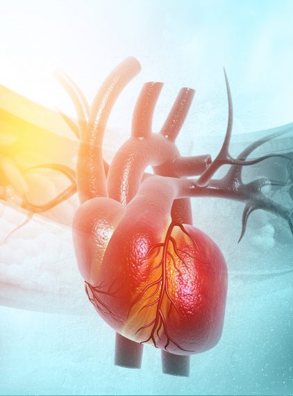 Naturalne wsparcie układu krążenia. Kiedy krążenie ma znaczenie?