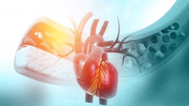 Naturalne wsparcie układu krążenia. Kiedy krążenie ma znaczenie?