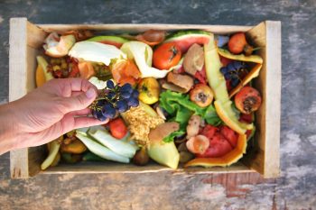 Co to jest freeganizm?