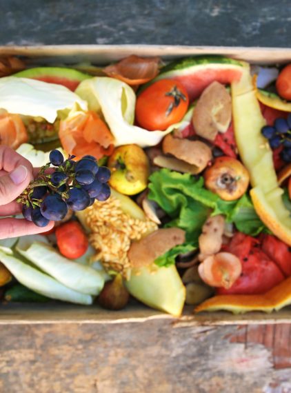 Co to jest freeganizm?