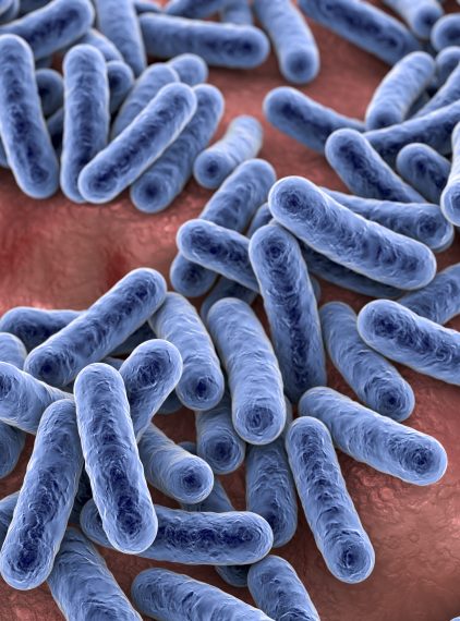 Mikrobiom skóry – czym jest i jaką pełni rolę?