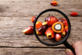 Czy olej palmowy jest szkodliwy?