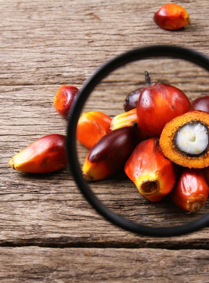 Czy olej palmowy jest szkodliwy?