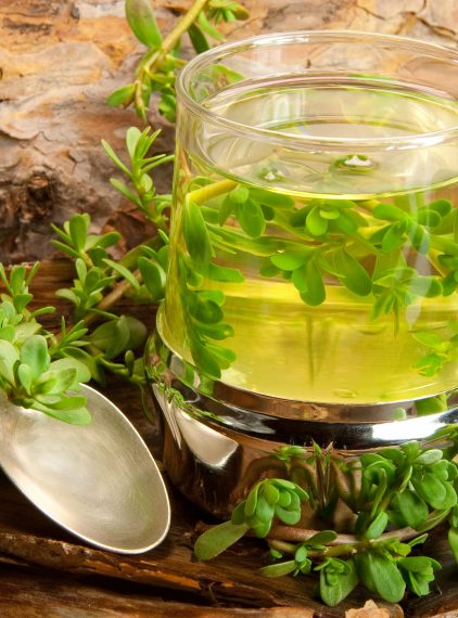 Brahmi (Bacopa monnieri) – czym jest i jak działa?