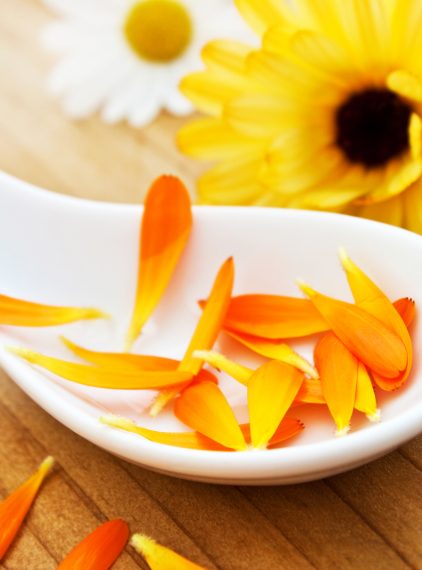 6 ziół, które powinny znaleźć się w kobiecej apteczce
