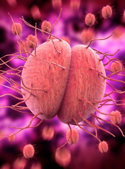 Rzeżączka. Jak ją leczyć?