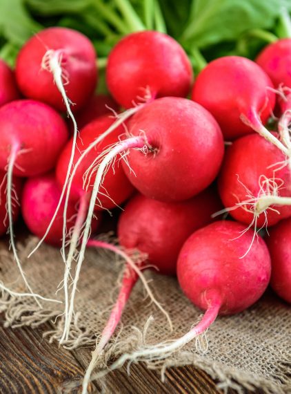 Rzodkiewka – jakie ma właściwości?