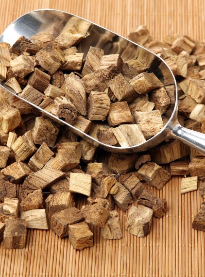 Korzeń kudzu – kiedy warto go stosować?