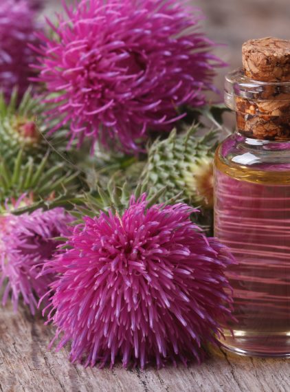 Olejek łopianowy w kosmetyce – czy warto go stosować?