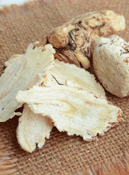 Jakie właściwości ma dzięgiel chiński?