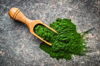 Chlorella (alga) – co to jest, właściwości i efekty stosowania