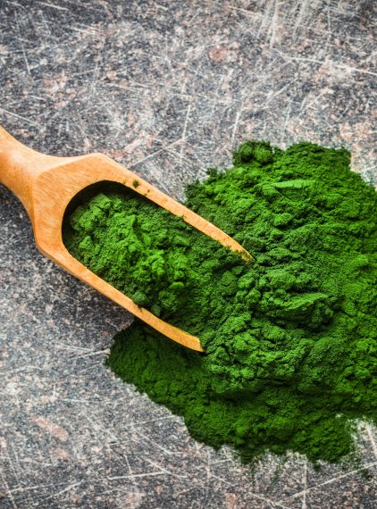 Chlorella (alga) – co to jest, właściwości i efekty stosowania