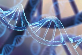 Czym jest zespół Alporta?