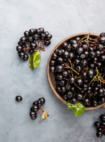 Kwasy fenolowe – jakie mają właściwości?