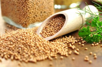 Gorczyca – właściwości i zastosowanie