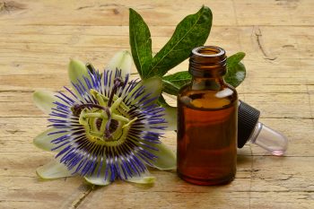 Męczennica – właściwości, zastosowanie, przeciwskazania, skutki uboczne