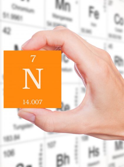 Azot. Jaką rolę pełni w organizmie?