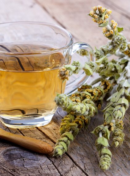 Gojnik – właściwości, zastosowanie, przeciwwskazania