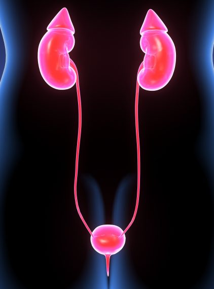 Torbiele gruczołu Bartholina – przyczyny, objawy, leczenie