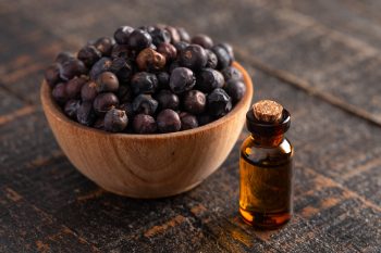 Olejek jałowcowy – właściwości i zastosowanie