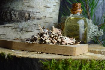 Betulina – właściwości i zastosowanie