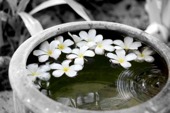 Olej monoi. Polinezyjska tajemnica piękna