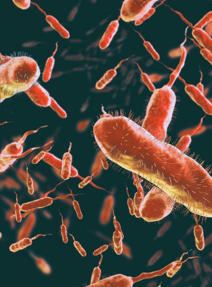 Cholera. Czy istnieje ryzyko epidemii?
