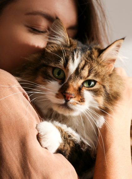 Alergia na kota. Czy da się ją wyleczyć? Czy istnieją hipoalergiczne rasy?