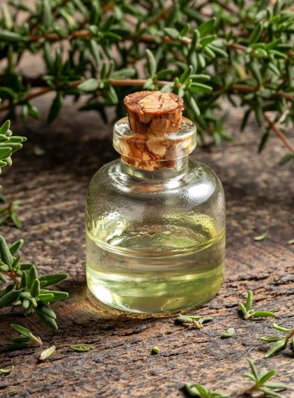 Naturalne olejki na komary i inne owady – jakie stosować?