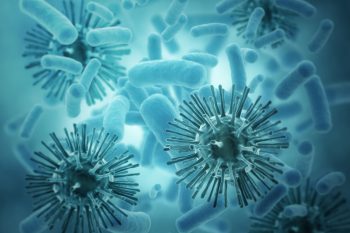 Bakteria a wirus – co je różni?