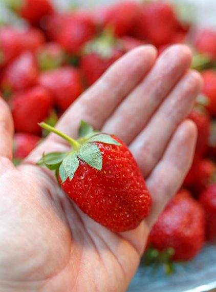 Uczulenie na truskawki. Jak objawia się alergia na truskawki?