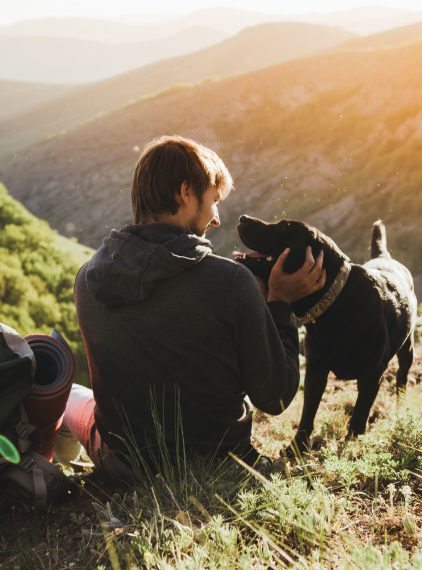 Leki dla zwierząt w aptece. Co można zastosować u psów i kotów?