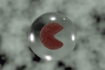 Podwyższone monocyty – o czym to świadczy i jakie są normy?