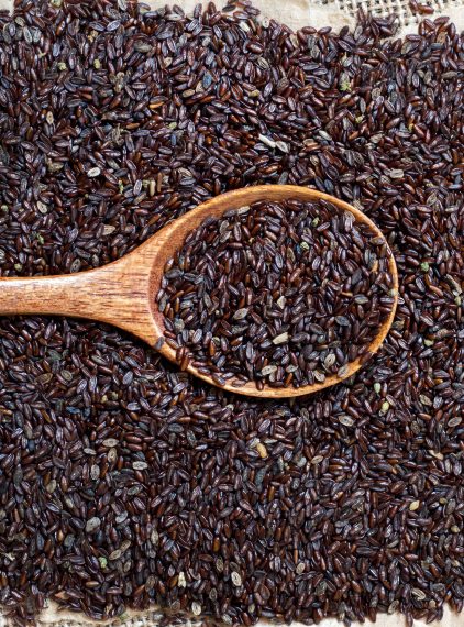 Babka płesznik – właściwości i zastosowanie