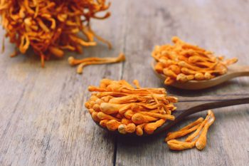 Cordyceps. Grzyb o unikalnych właściwościach
