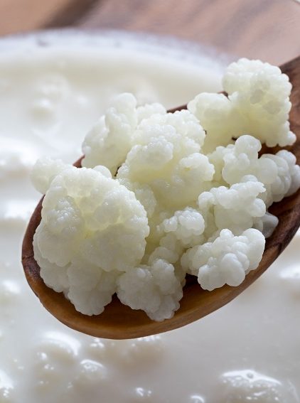 Grzybek tybetański. Jakie ma właściwości?