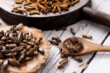 Owady jadalne. Czy na pewno są bezpieczne?