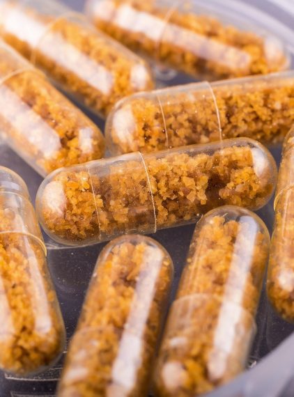 Szokuje i ratuje życie. Przeszczep kału