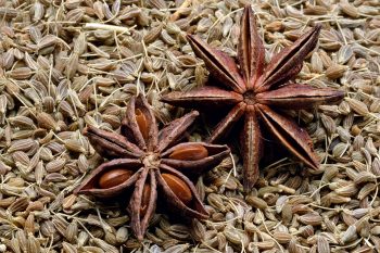 Anyż. Łagodzi objawy przeziębienia i pobudza laktację