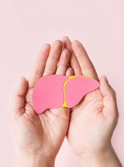 Czy preparat TUDCA wspiera regenerację wątroby?