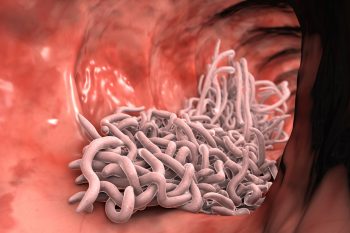 Nicienie. Jak rozpoznać zakażenie? 