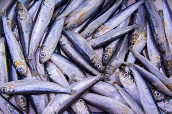 Dioksyny. Dlaczego nam zagrażają?