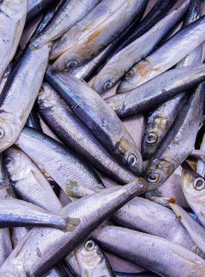 Dioksyny. Dlaczego nam zagrażają?