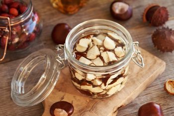 Czy nalewka z kasztanów pomaga na żylaki?