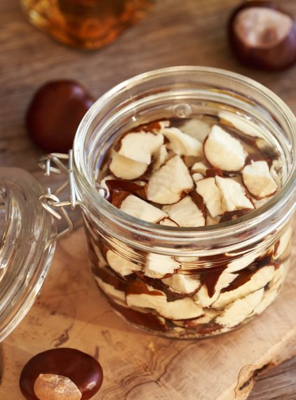 Czy nalewka z kasztanów pomaga na żylaki?