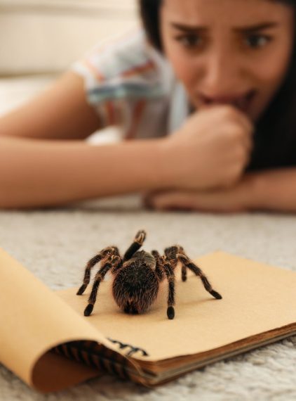 Arachnofobia. Dlaczego boimy się pająków?