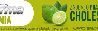 X - Lipiforma